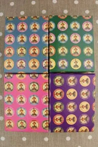 Boîte Atelier étiquette Albums Sajou Verts 7 Boîte Atelier étiquette Albums Sajou Verts – Image 7