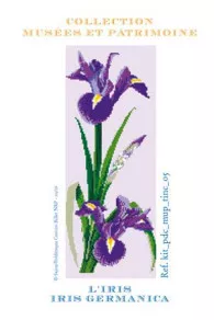 Kit De Point De Croix Fleur Iris
