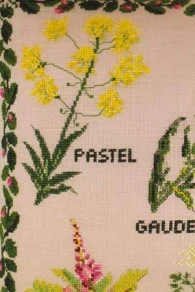 Kit De Point De Croix Petites Plantes 7 Kit De Point De Croix Petites Plantes – Image 7