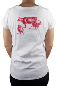 T-shirt Sajou Recto Verso Taille L 3 T-shirt Sajou Recto Verso Taille L – Image 3