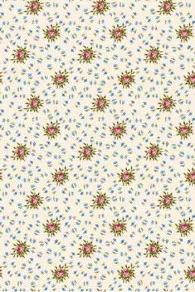 Tissu Coton Au Mètre Marie Antoinette Trianon 3 Tissu Coton Au Mètre Marie Antoinette Trianon – Image 3