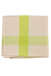 Torchon à Broder Coton Centre Toile Aïda - Anis